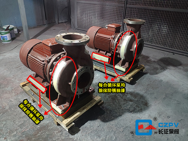 循環水泵涂抹防銹油漆